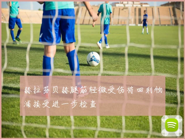 赫拉芬贝赫腿筋轻微受伤将回利物浦接受进一步检查