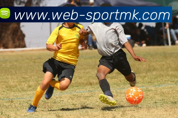 MK体育APP 封面图